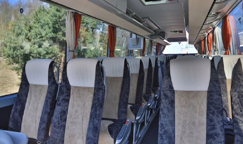 Denmark: Buses rent in Korsør, Region Zealand