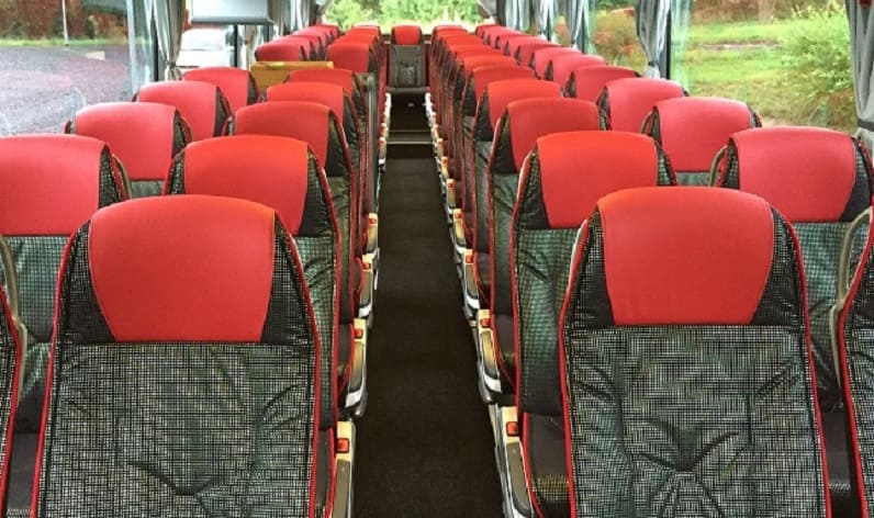 Germany: Bus booking in Lübeck, Schleswig-Holstein